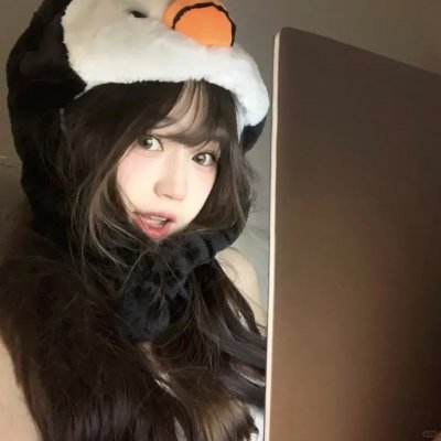 动物园先生