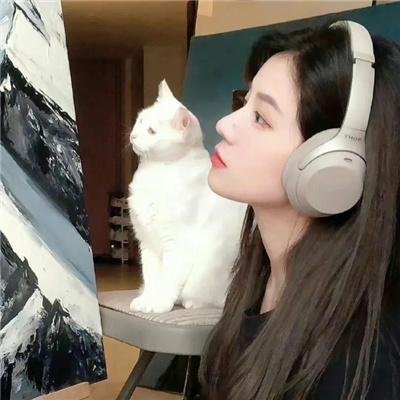 虞美人盛开的山坡